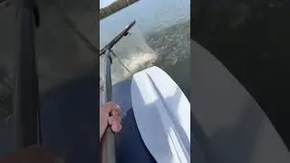 Судачина ( 🎣 ) #2024
