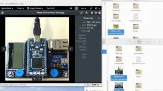 Kali Linux - Copying Files in and out of VM with SFTP - VMware VM on Debian host