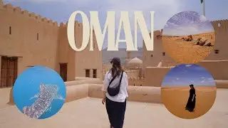 Oman Adventures - Whale Sharks, Nizwa, Wahiba Desert