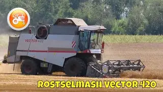 Harvest 2024 | Rostselmash Vector 420 combine harvester
