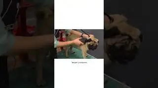 Самый безопасный инструмент при экспресс-линьке