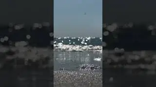 Море в Балдейске. Кстати и музыка моя