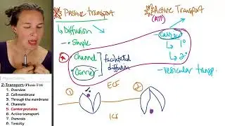 Carrier proteins