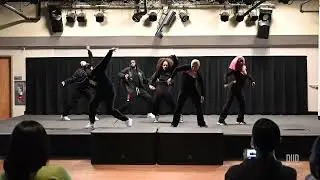 Ace - Danae Green / Vibez - Tajmeer Davis | Who is D2D 2021