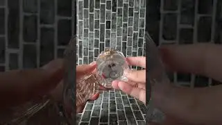 Аромат который приятно удивит сладостью и свежестью 