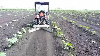 minitracktor થી પારા ll એરંડા માં નાના ટ્રેક્ટર થી પારા ll ઊંધા નિકિયા થી