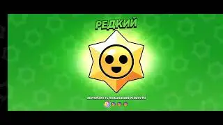 15 августа 2024 г.