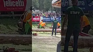 Gara di Sramatura - Festa del Boscaiolo 2025 a Molina di Fiemme Trentino