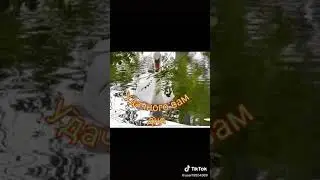 Поздравление с добрым утром(2)