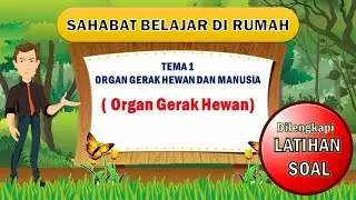 MEDIA PEMBELAJARAN ORGAN GERAK HEWAN