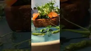 Божечки, как же я люблю красивую и вкусную еду 😍😍😍 