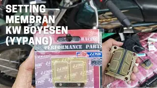 TEST LIDAH MEMBRAN RXZ YYPANG MIRIP BOYESEN DI RX KING #rxking #motovlog