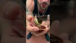 Tu attends quoi ? #reels #cash #shorts #viralvideo