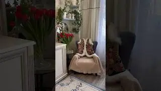 Я жду вас на своём канале🌸🌸🌸 