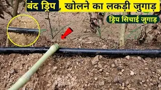 बंद ड्रिप को खोलो मिनटों में, लकड़ी जुगाड़ से || Drip Irrigation Jugaad || Drip Irrigation ||