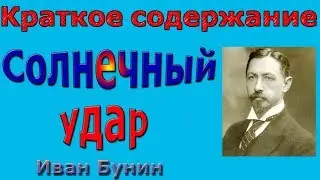 Краткое содержание Солнечный удар, Бунин