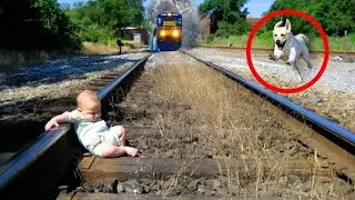 10 Amazing People Who Saved Animals Lives