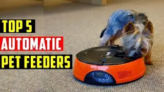 ✅ Top 5 Best Automatic Pet Feeders in 2023 - The Best Pet Feeders Reviews in 2023 - Buying Guide