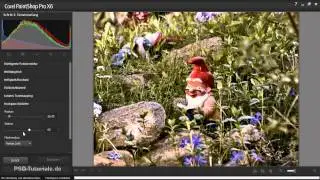 Corel PaintShop Pro Tutorial: Creating an HDR image from a RAW photo
