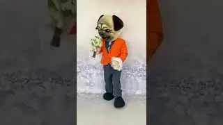 Нравятся собаки?  🐶 