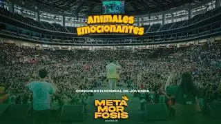 Presentación de EBDV 2026 Animales Emocionantes - Congreso nacional de jóvenes METAMORFOSIS