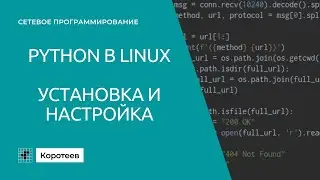 DO0 Настройка рабочего окружения для Python в Linux.