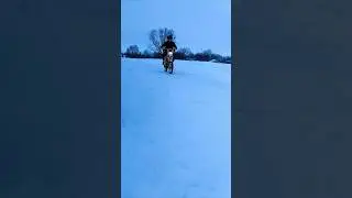 пит байк зимой