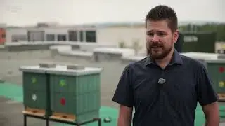 Inspirativní cesta za udržitelnou VŠB-TUO