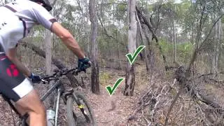 How to Ride Through Trees and Narrow Gaps Super Fast