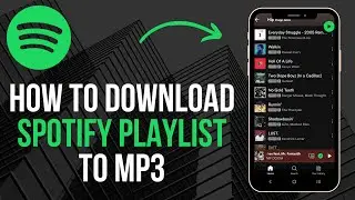 How To Download Spotify Playlist To Mp3 (2024)