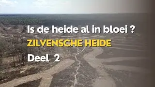 Fotografie vlog 40 | Heide fotografie |