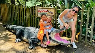 PASSEIO NA FAZENDA DE JACARÉS NA FLÓRIDA 🐊