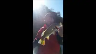 Pescaria com Lucas Cruz em 07/07/2016 - Guia Augusto Iwato