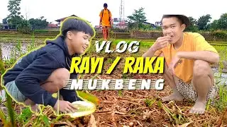 PETUALANGAN RAYI / RAKA SESEBLAKAN DI SAWAH ‼️