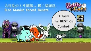 Battle Cats Bird Maniac Forest Beasts ft Courier Cat！Manic Flying Cat's Review！