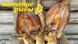 копчение рыбы, копчение карася #2
