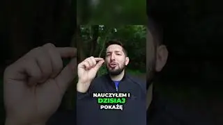 Jak łowić BIAŁORYB na SPINNING
