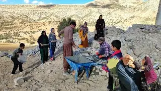 Starting to build a nomadic hut in difficult conditions and getting permission to build a house