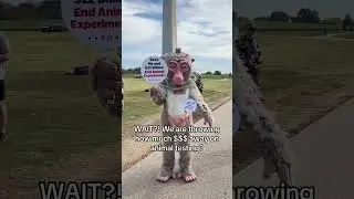Going forward, let’s stop the NIH from wasting billions on useless experiments on animals.