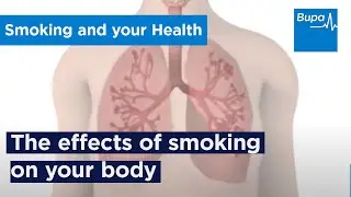 The effects of smoking on your body | Bupa Health