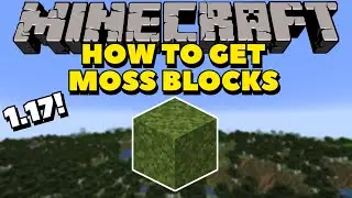 How to GET Moss Blocks In Minecraft 1.17! | Minecraft 1.17 Tutorials