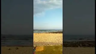 DAMAINYA, PANTAI KUTA MANDALIKA || LOMBOK
