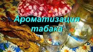 TOBACCO GROWER'S DIARY #46 (18.08. Flavoring (saucing) of tobacco) TOBACCO