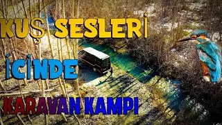 KUŞ SESLERİ ARASINDA KARAVAN KAMPI