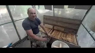 Сколько мёда в полурамке?
