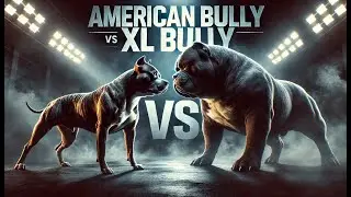 American Bully vs. XL Bully: Which One Reigns Supreme? 🐶🔥