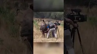 Операторы в дикой природе