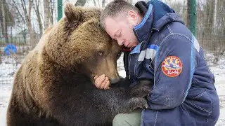 Жизни их связаны навсегда. Человек и Медведь❤️/Bear Mansur
