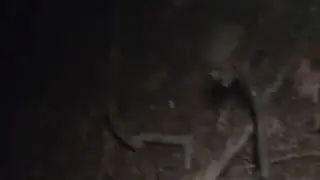 looking for tunnels