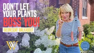 5 Ways To NOT Let Your Plants Boss You!